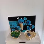 Ananas Golf Del Sur 아파트 산미겔데아보나